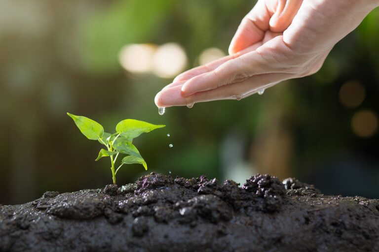 How to Upgrade My Garden Homemendous