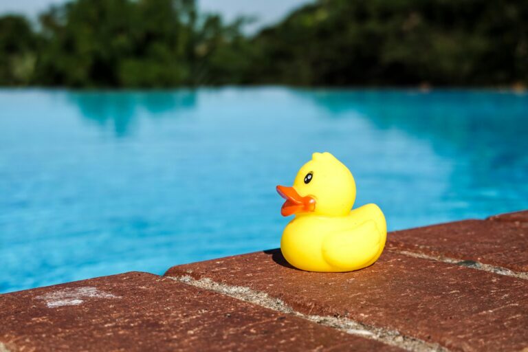 Zero Edge Pool