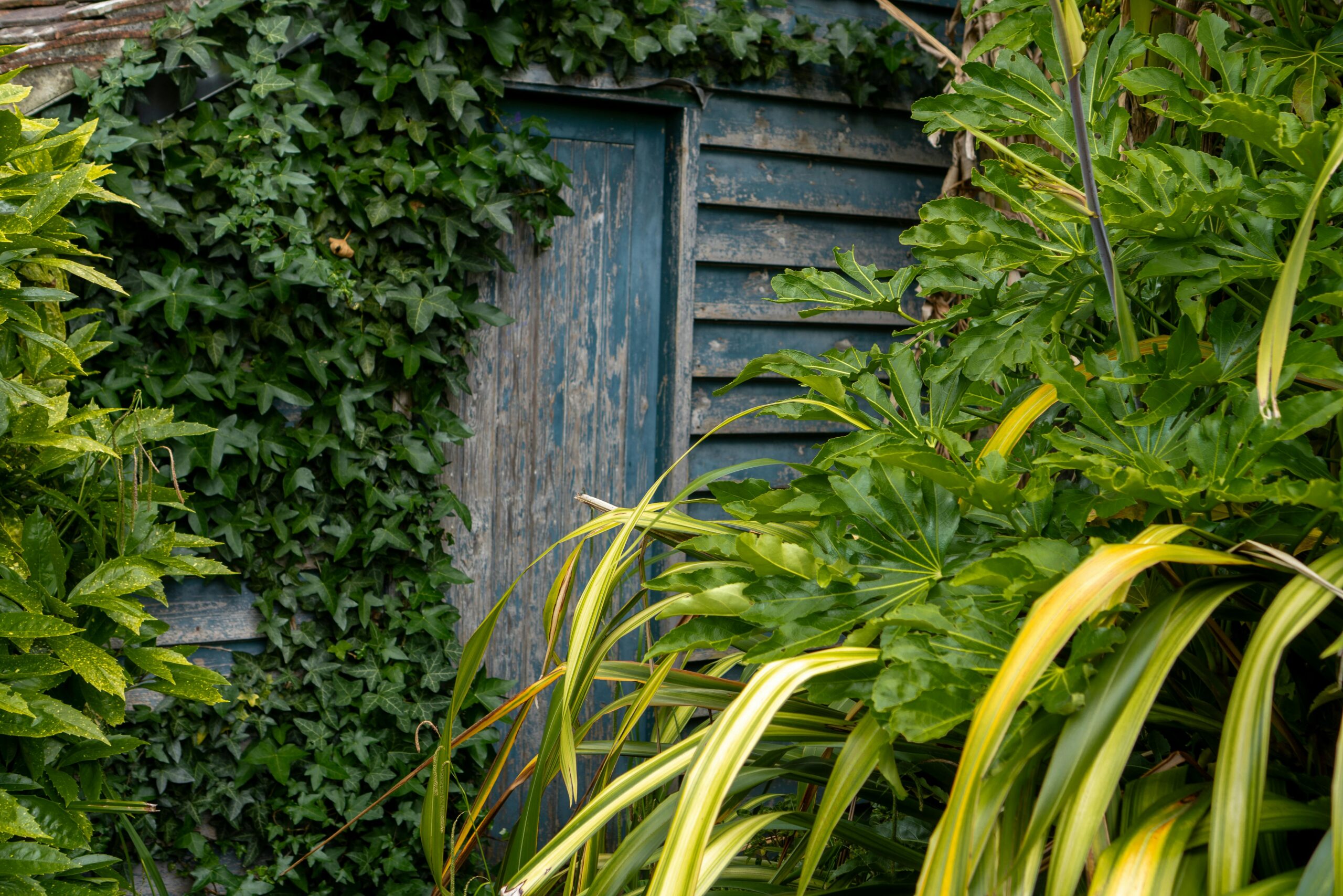 Victorian Garden Shed