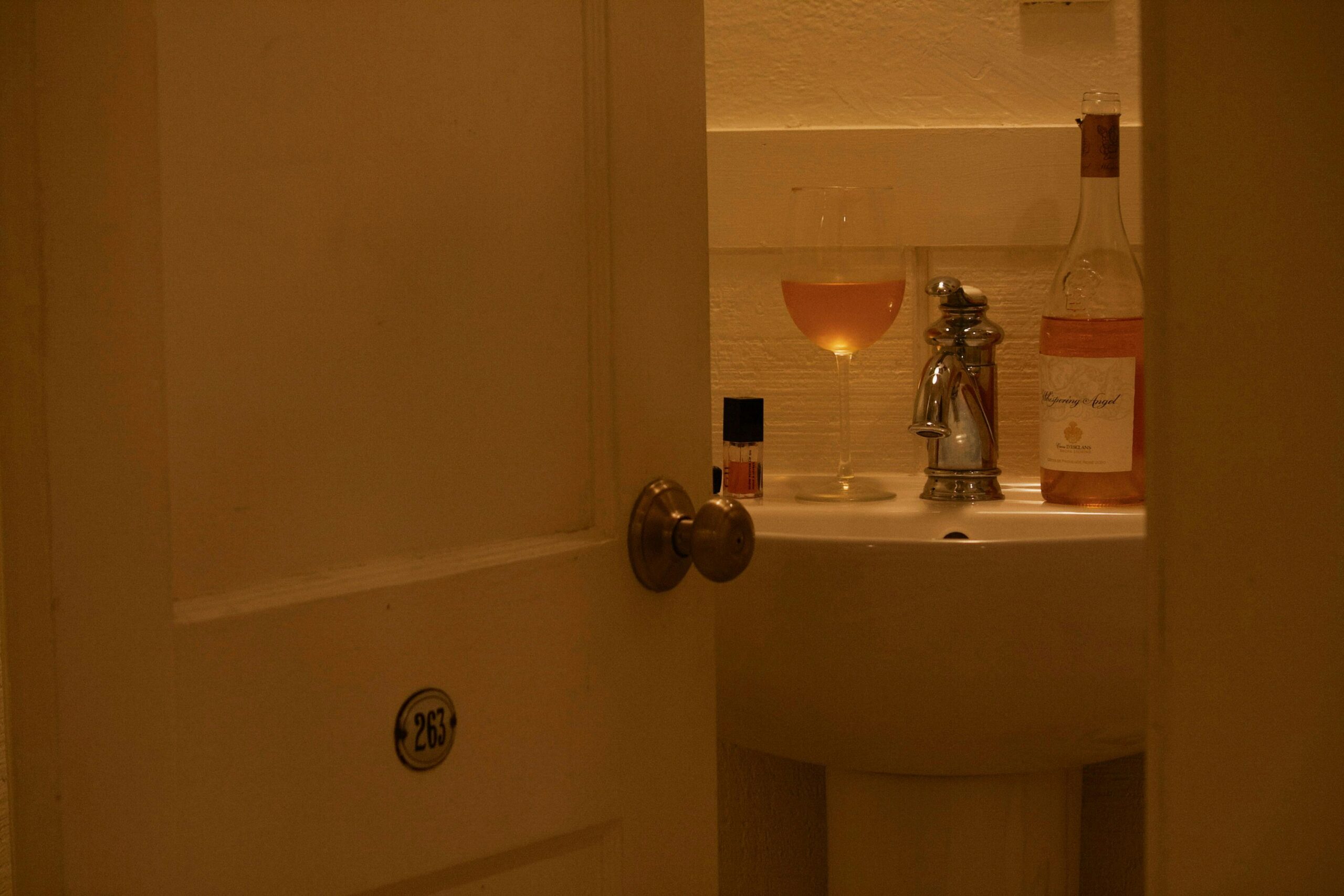 Drain Flies in Bathroom