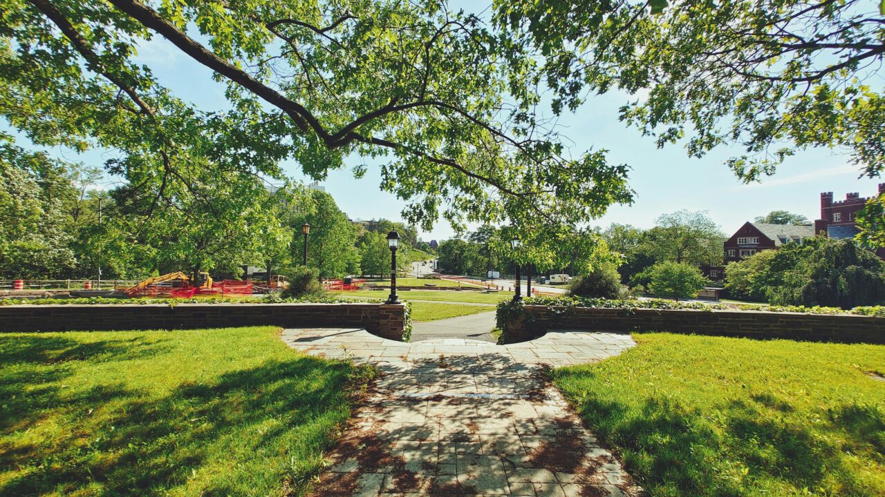 Roosevelt Gardens Flooring Removal: Expert Services and Pricing Guide