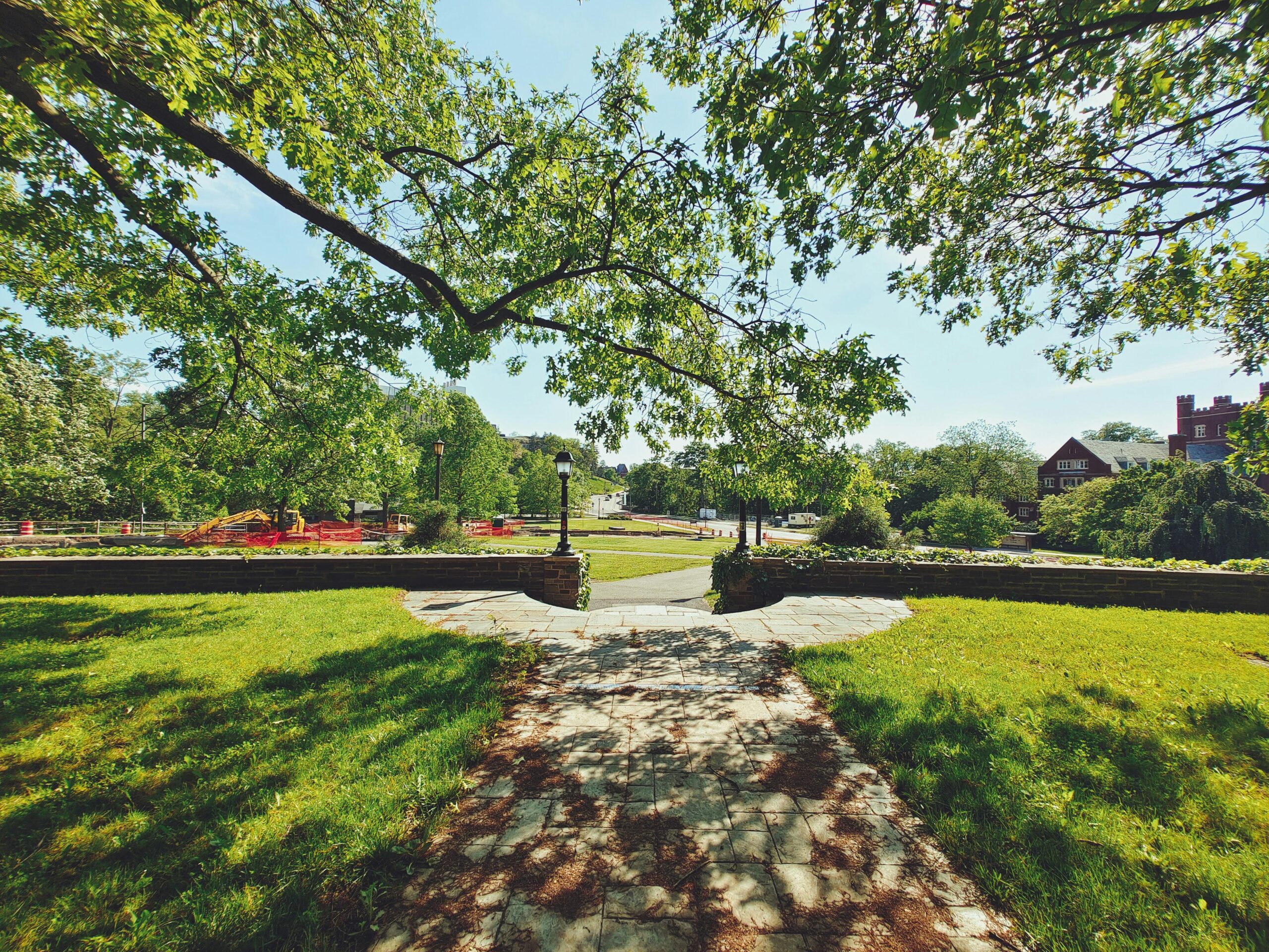 Roosevelt Gardens Flooring Removal