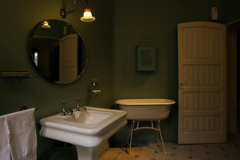 Arched Shower Niche