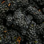 Long Black Grapes