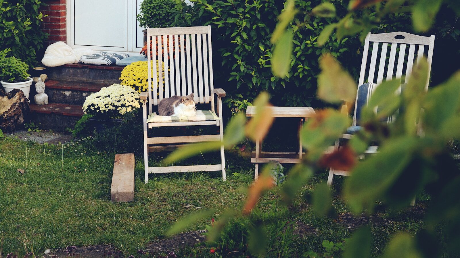 Reclining Chairs Garden