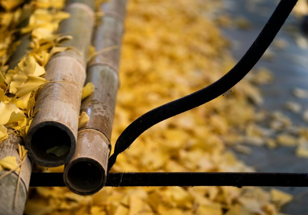 Bent Bamboo Design: Creative Uses and Crafting Methods