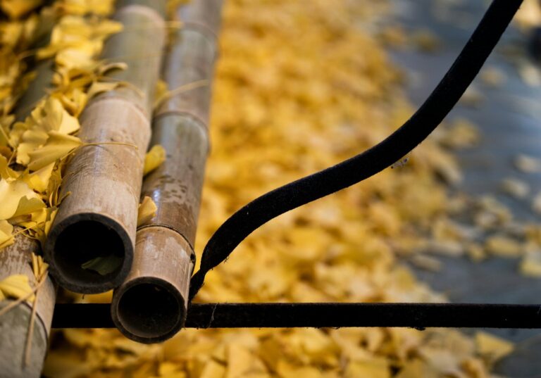 Bent Bamboo Design: Creative Uses and Crafting Methods