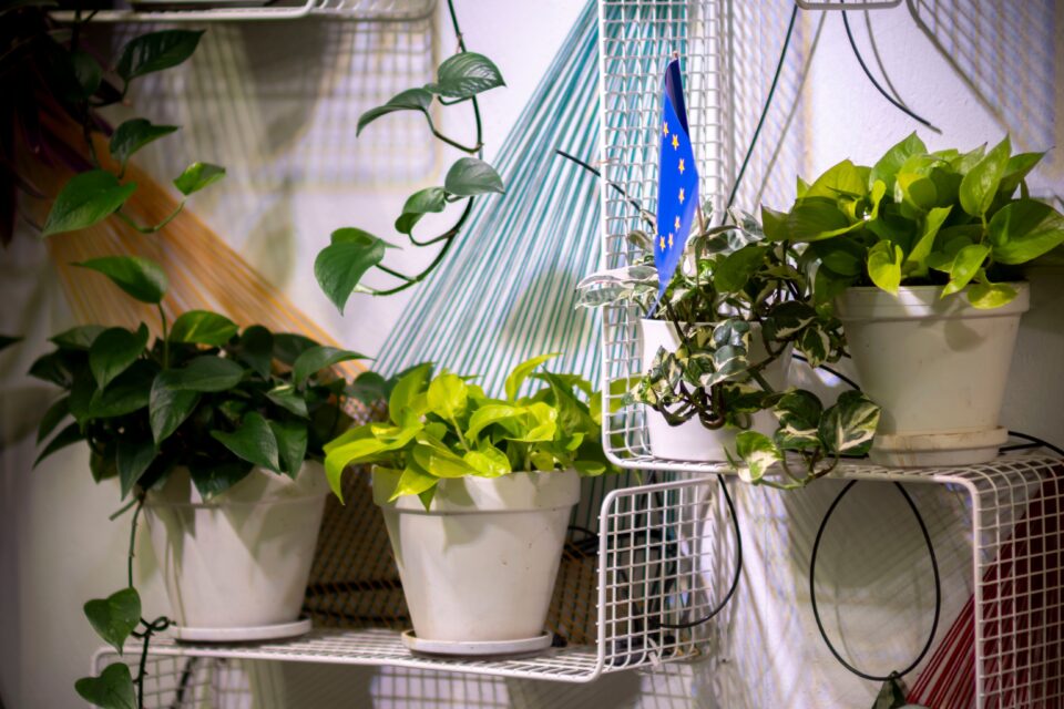 Plant Stand stylish