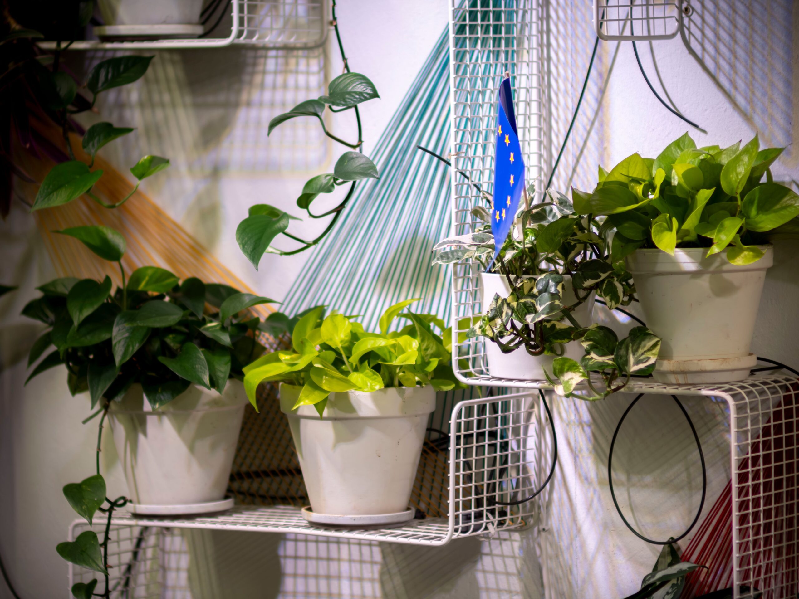 Plant Stand stylish