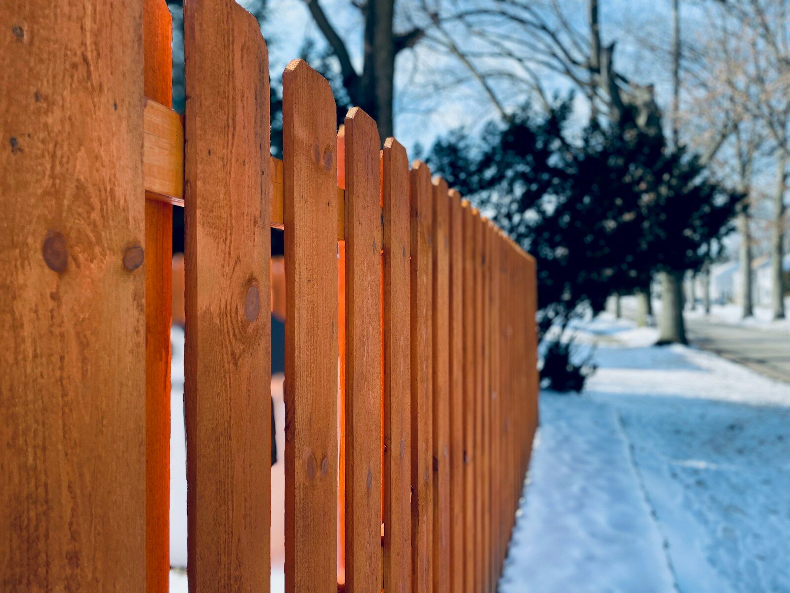 Cedar Fence Panels