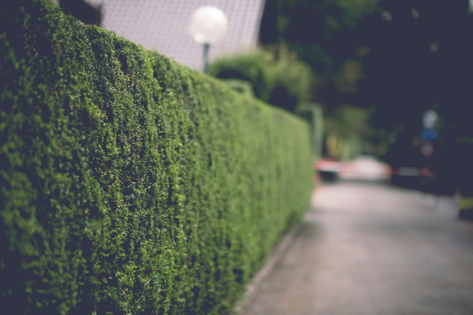 Foundation Hedges