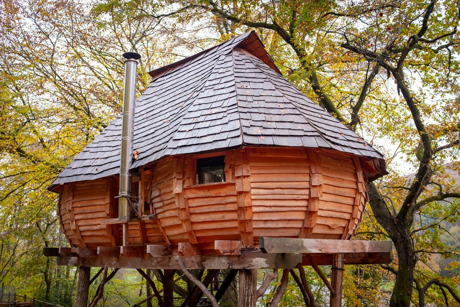 Tree Houses