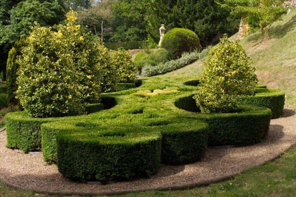 When to Trim Boxwoods