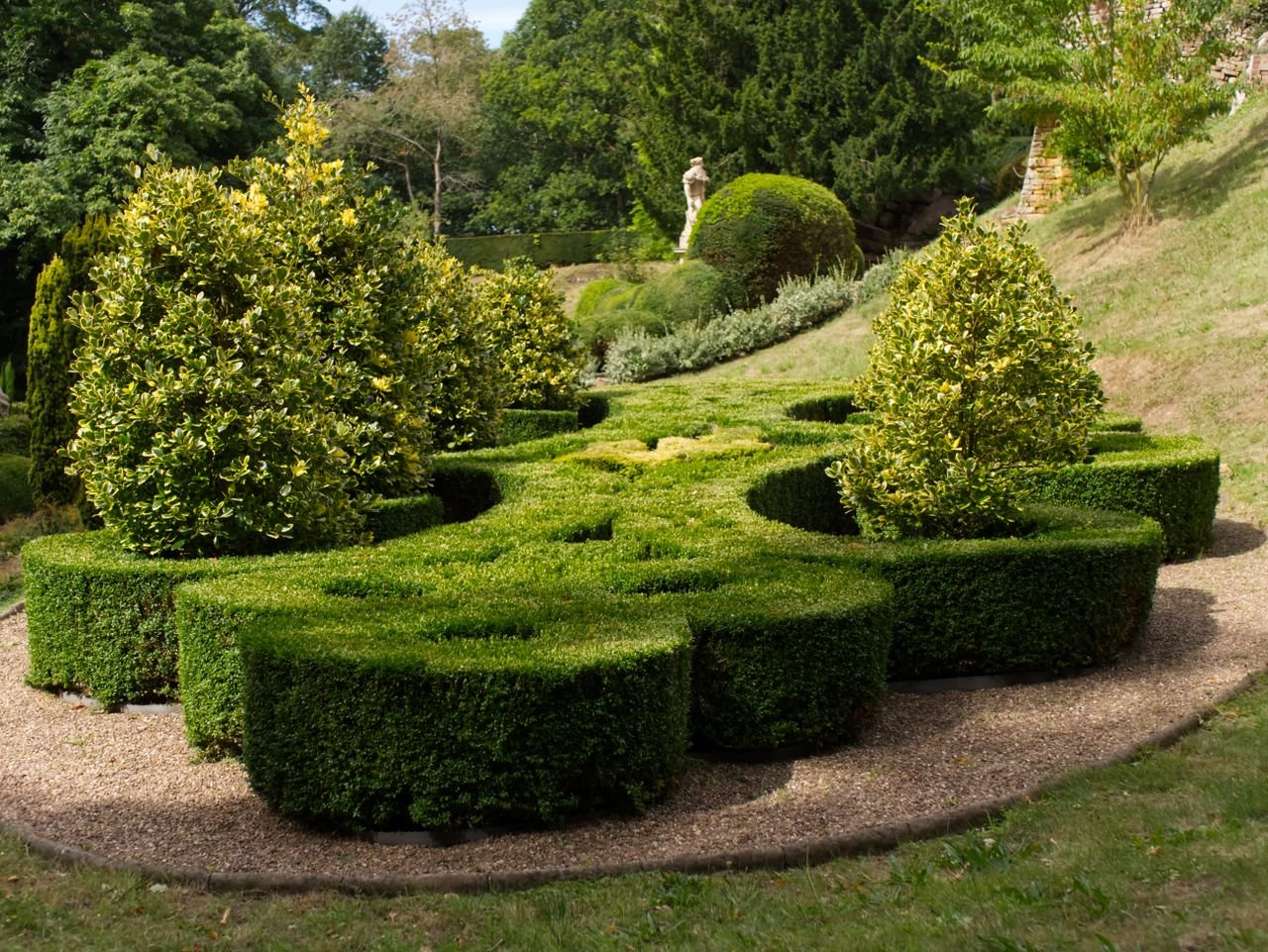 When to Trim Boxwoods