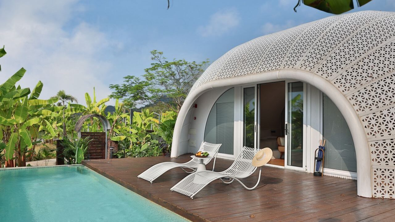 Curve Lounge Chair Guide: Stylish Comfort Ideas for Modern Homes