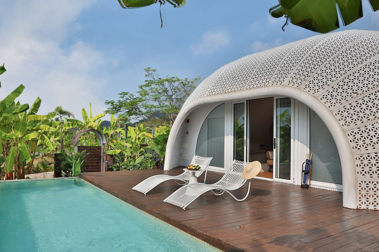 Curve Lounge Chair