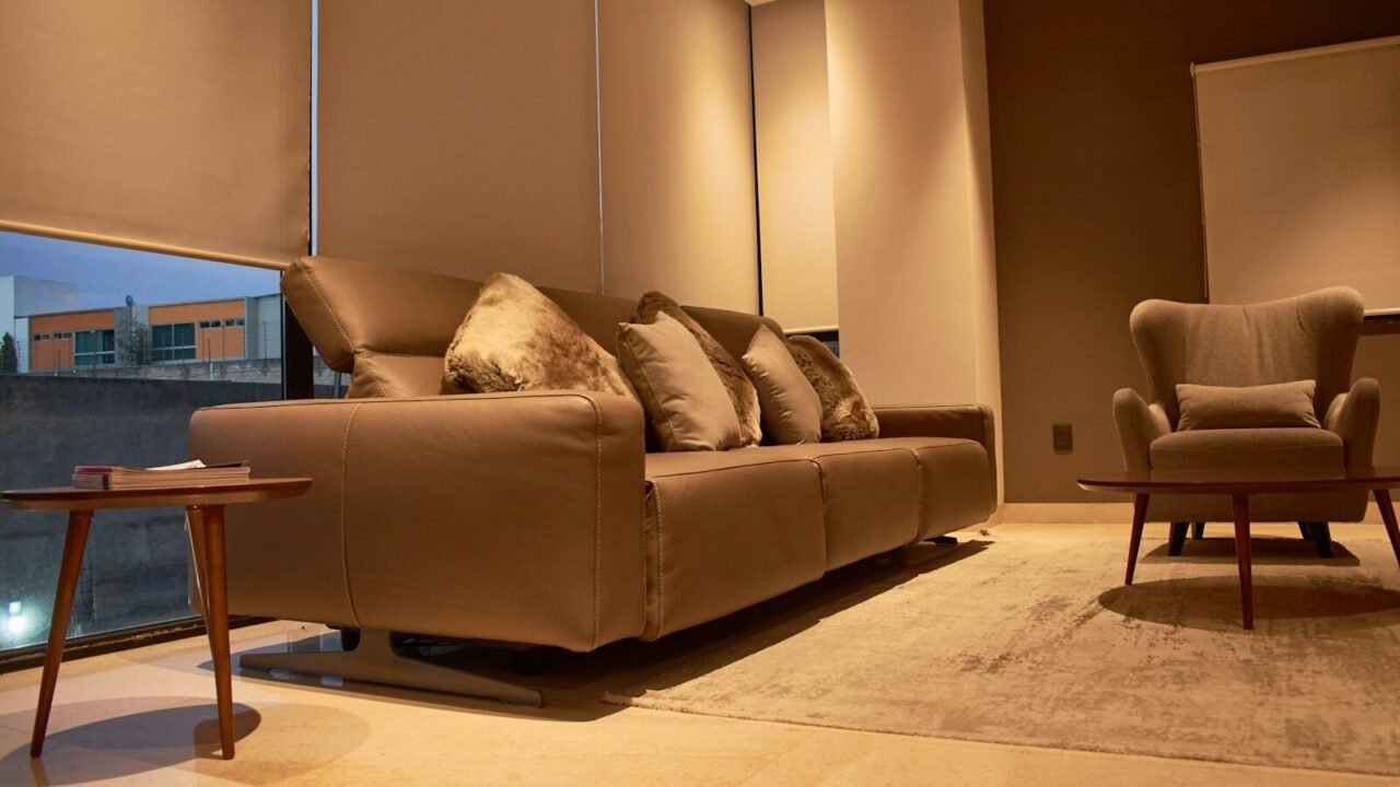 Arlee Charlie Sofa Bed Review: Features, Pros, Cons, and Alternatives