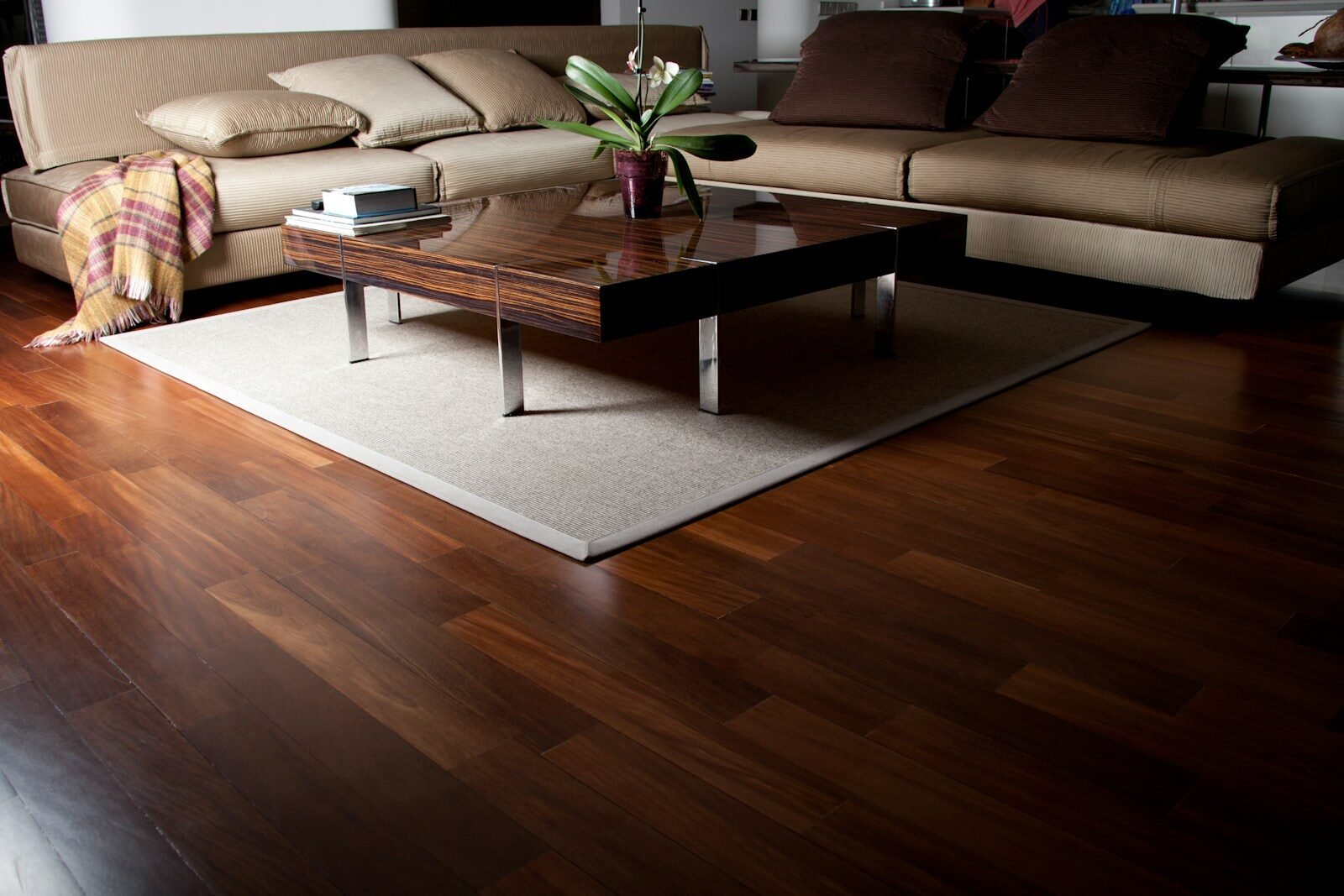 New Trend Wood Polish