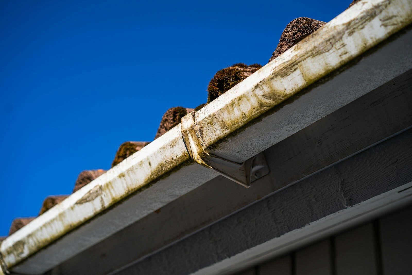 Copper Gutters