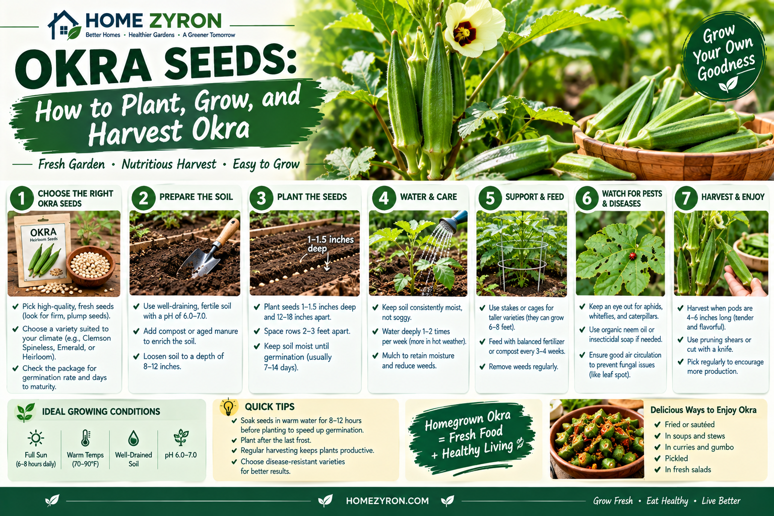 Okra Seeds: How to Plant, Grow, and Harvest Okra