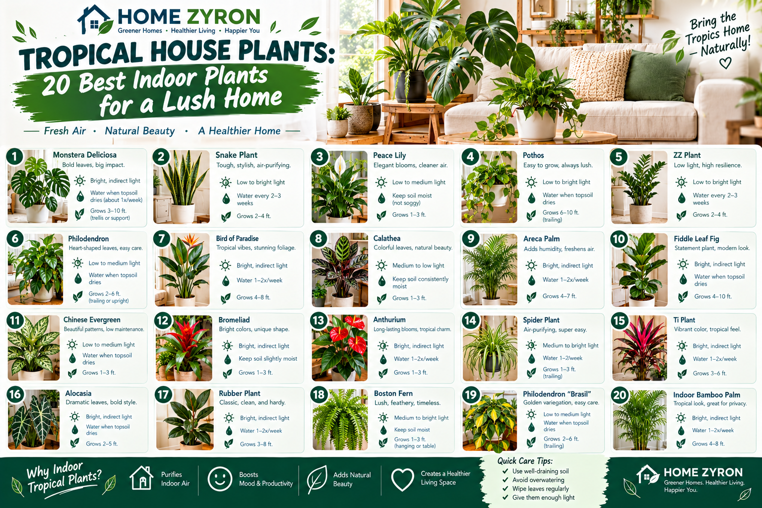 Tropical House Plants: 20 Best Indoor Plants for a Lush Home