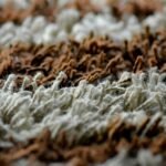 How to Make Matted Carpet Fluffy Again: A Complete Step-by-Step Guide Matted Carpet
