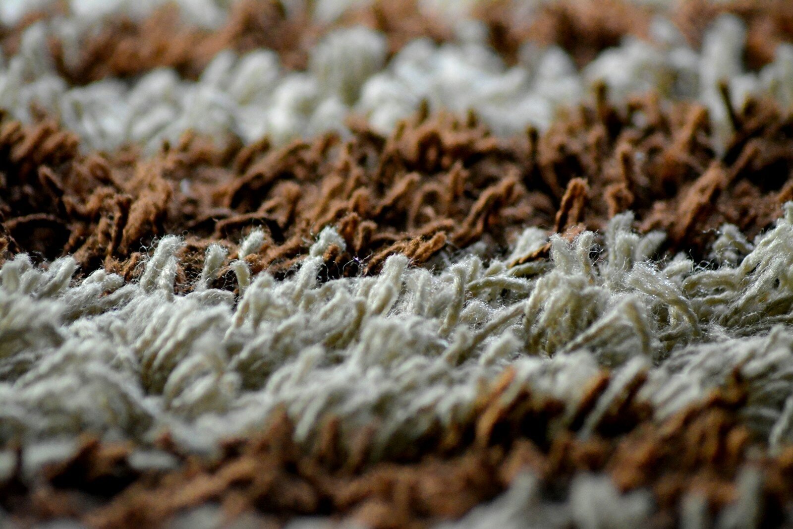 How to Make Matted Carpet Fluffy Again: A Complete Step-by-Step Guide